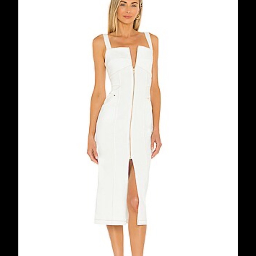 Sabina Musayev Bristol Dress